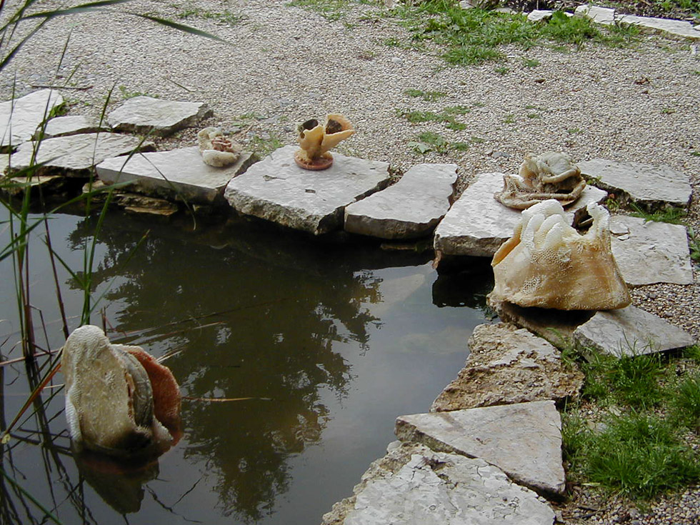 Efekt pracy pszczół przy oczku wodnym. Autorka: Aganetha Dyck. Fotografia: Peter Dyck. Źródło: www.aganethadyck.ca Artystka udzieliła nam pisemnej zgody na publikację fotografii jej prac.