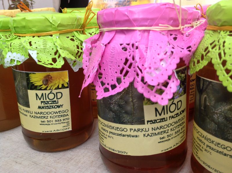 Pasieka Guciów Kazimierz Koterba - miód mniszkowy i miód faceliowy. XXII Krakowskie Miodobranie