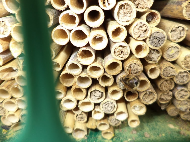 Autor zdjęcia: Łukasz Netczuk