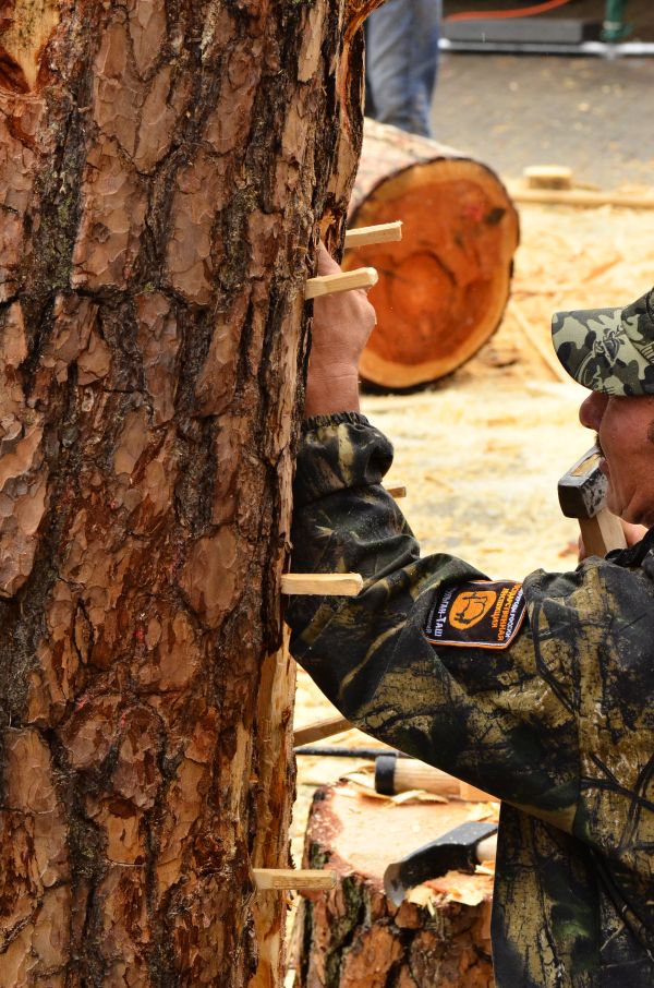 Barciowisko 2015. Autor zdjęć: Katarzyna Judycka (Pasieka u Alfreda).