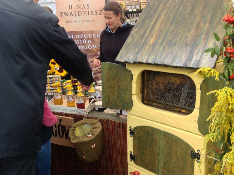 Pasieka Szeligów - zasiedlony ul i degustacja miodów. XXII Krakowskie Miodobranie