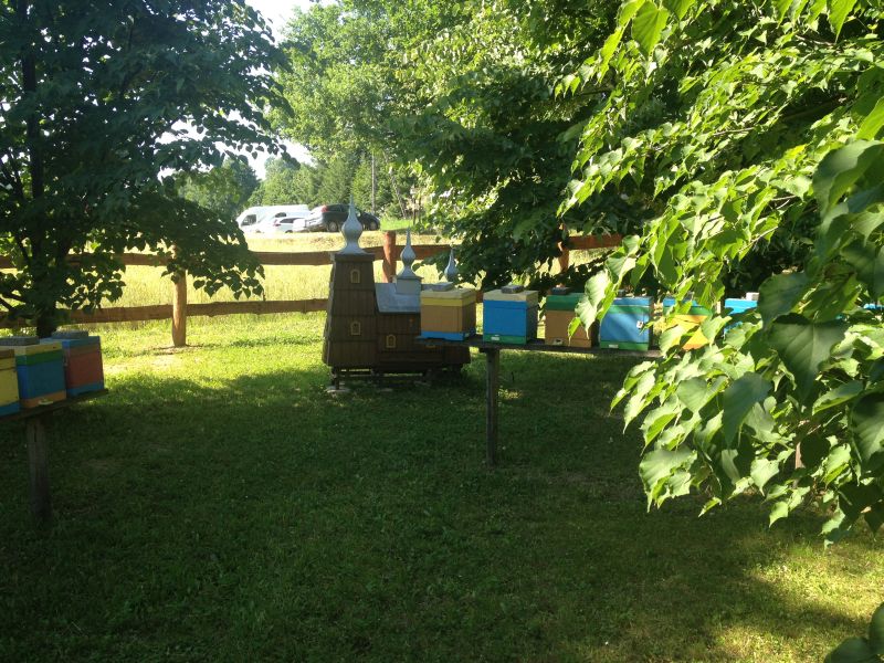 Czynne ule na terenie należącym do Sądeckiego Bartnika.