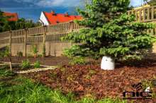 Na zdjęciu: Gotowy ogród przyjazny pszczołom. Źródło zdjęcia: Stowarzyszenie Natura i Człowiek.