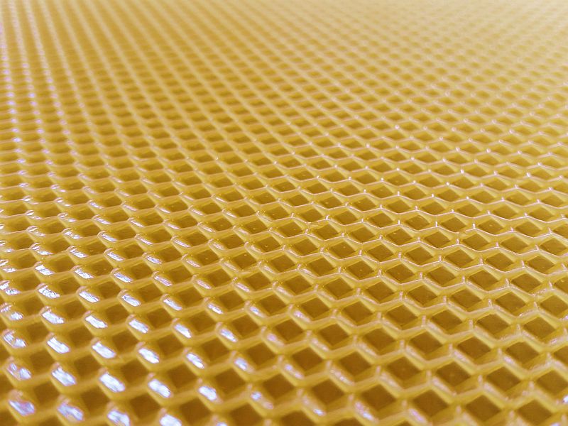 Węza pszczela od polskiego producenta węzy - firmy Pszczeli Port