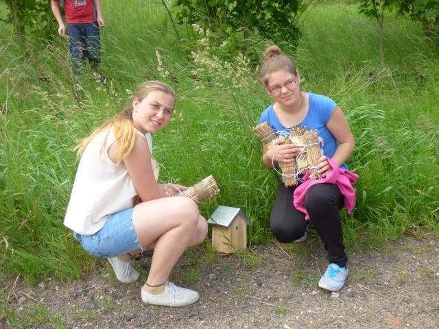 Oto nowe domki dla pszczół i trzmieli. Źródło zdjęcia: materiały przekazane przez p. Agnieszkę Gałwa.
