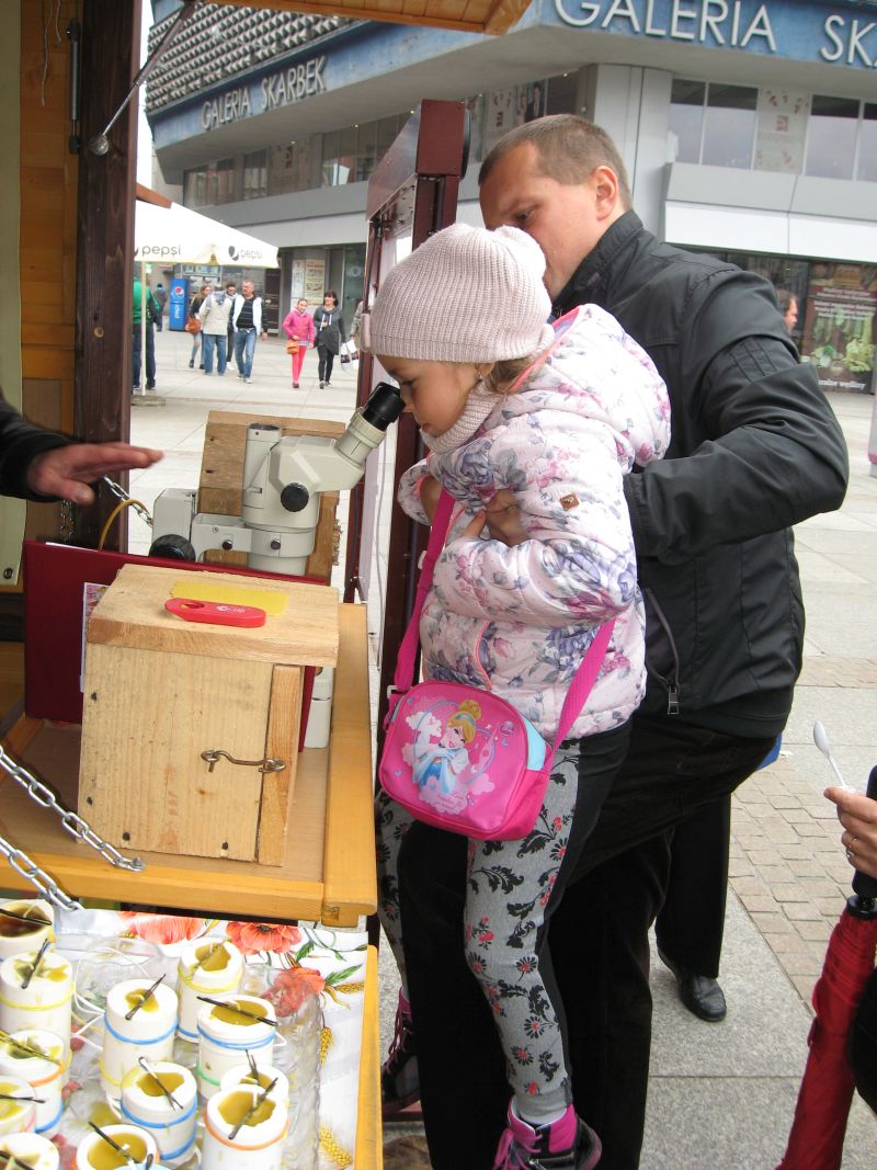 Później córka sprawdza co widać pod mikroskopem na II Festiwalu Miodu w Katowicach. Autor zdjęcia: Kazimierz Wiśniowski