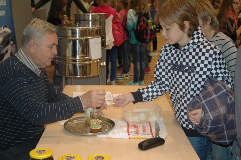 Wystawa: Pszczelarze w służbie człowiekowi