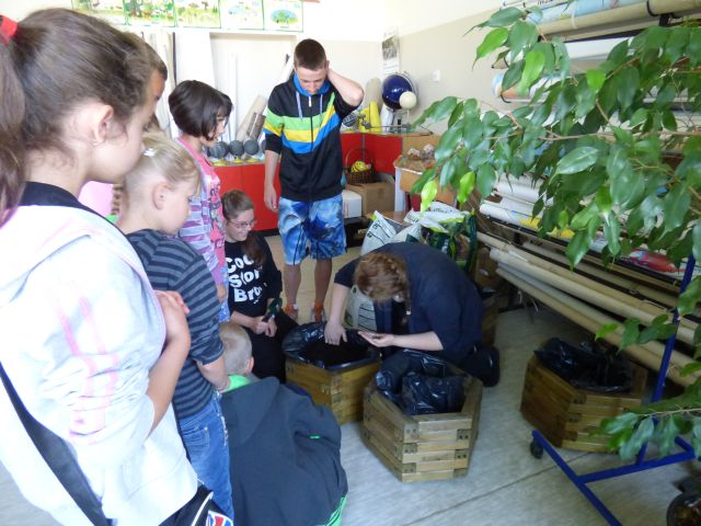 Sadzimy rośliny miododajne. Źródło zdjęcia: materiały przez p. Agnieszkę Gałwa.