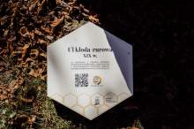 Relacja z wydarzenia pt. Festiwal Kultury Pszczelarskiej w Lublinie 2023