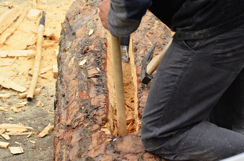 Barciowisko 2015. Autor zdjęć: Katarzyna Judycka (Pasieka u Alfreda).