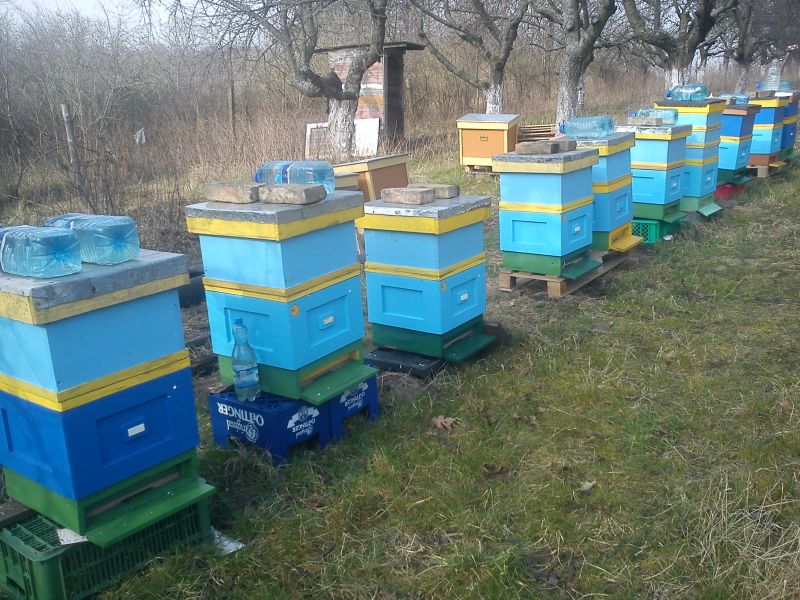 Skradzione ule w miejscowości: Gryfino (woj. zachodniopomorskie).