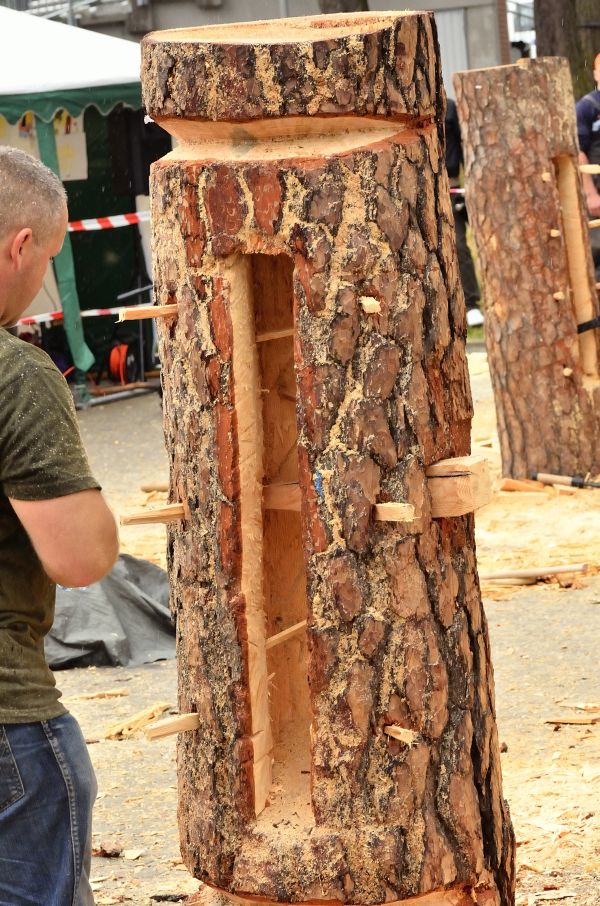 Barciowisko 2015. Autor zdjęć: Katarzyna Judycka (Pasieka u Alfreda).