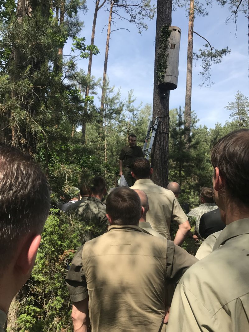 Międzynarodowa Konferencja Bartnicza pt. Dekada Polskiego Bartnictwa. Spała 2017. Autor zdjęć: Małgorzata Brendel