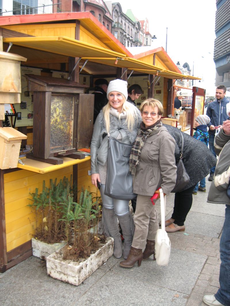 Ul z pszczołami za szybą na II Festiwalu Miodu w Katowicach. Autor zdjęcia: Kazimierz Wiśniowski