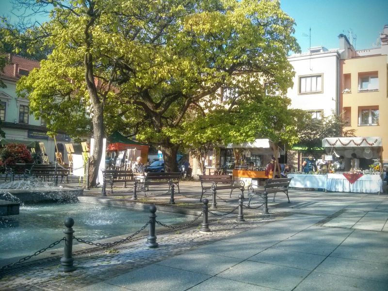 Stoiska wystawców podczas V Krzeszowickiego Miodobrania. Autorka zdjęcia: Renata Gasek