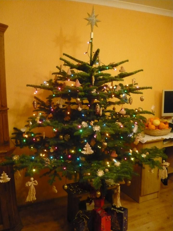 Pierniczki jako ozdoba choinkowa. Autorka Zdjęcia: Magdalena Mendziak.