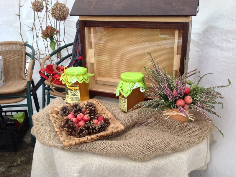 Pasieka Guciów Kazimierz Koterba - ul weselny i miody. XXII Krakowskie Miodobranie