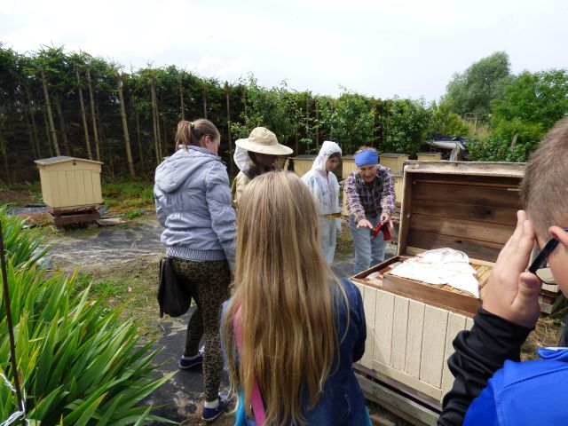 Pani Józefa pokazuje uczniom pszczoły w ulu. Źródło zdjęcia: materiały przez p. Agnieszkę Gałwa.