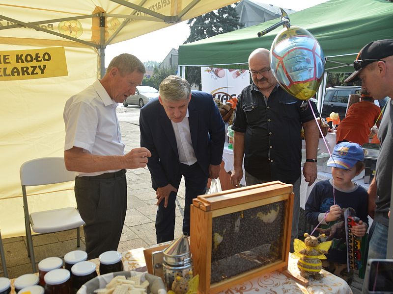 Stoisko pszczelarzy Brzeskiego Koła Pszczelarzy. Autor zdjęcia: Filip Janusz