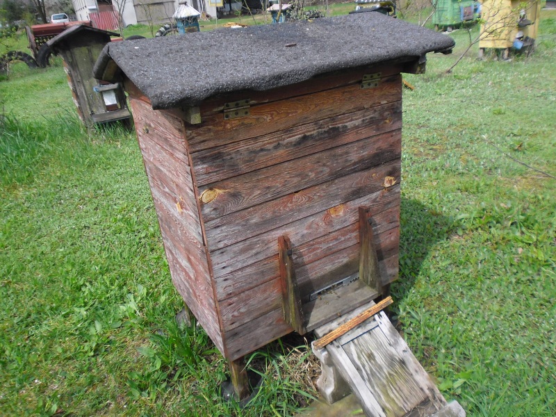 Ul drewniany. Autor zdjęcia: Teresa Jakubowska