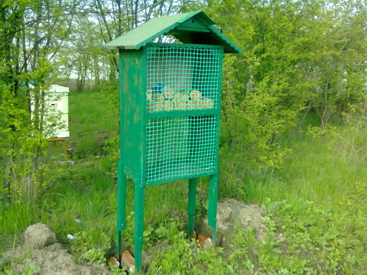 Autor zdjęcia: Łukasz Netczuk