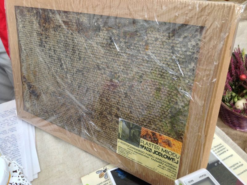 Pasieka Guciów Kazimierz Koterba - plaster miodu spadzi jodłowej. XXII Krakowskie Miodobranie