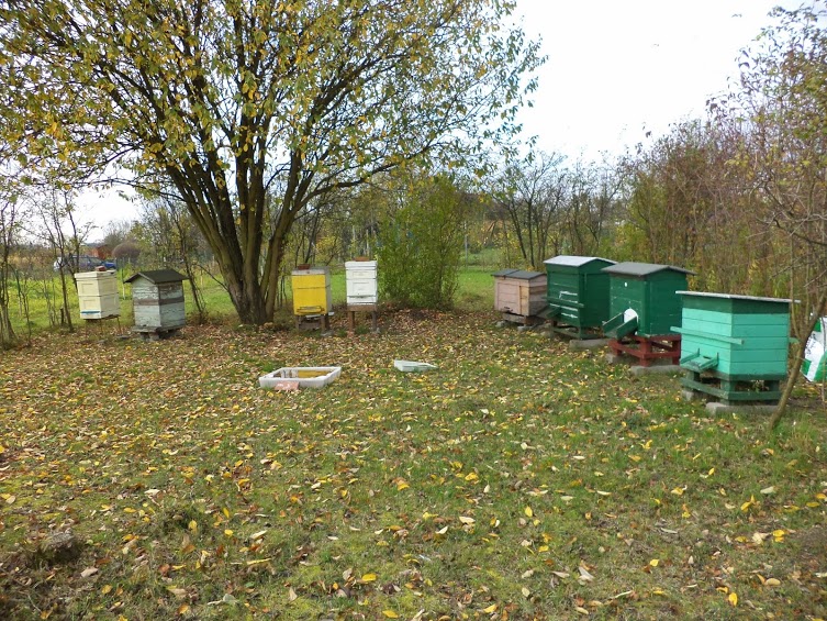 Autor zdjęcia: Łukasz Netczuk