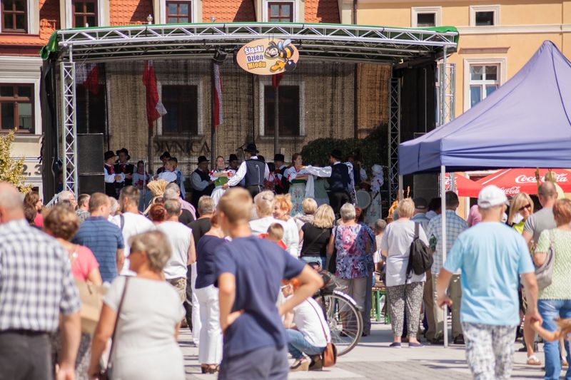 Goście VII Święta Miodu w Pszczynie. Autor zdjęcia: Kazimierz Wiśniowski