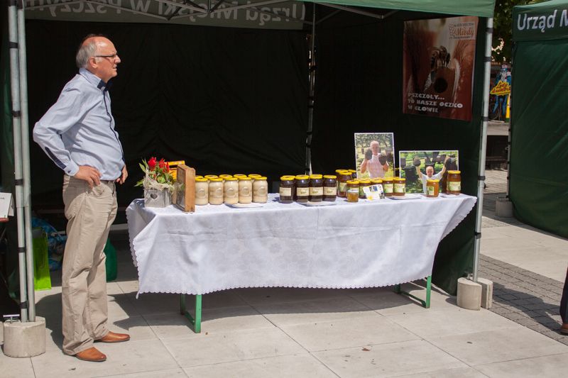 Namiot wystawienniczy pszczelarza podczas wydarzenia o nazwie: VII Święto Miodu w Pszczynie. Autor zdjęcia: Kazimierz Wiśniowski