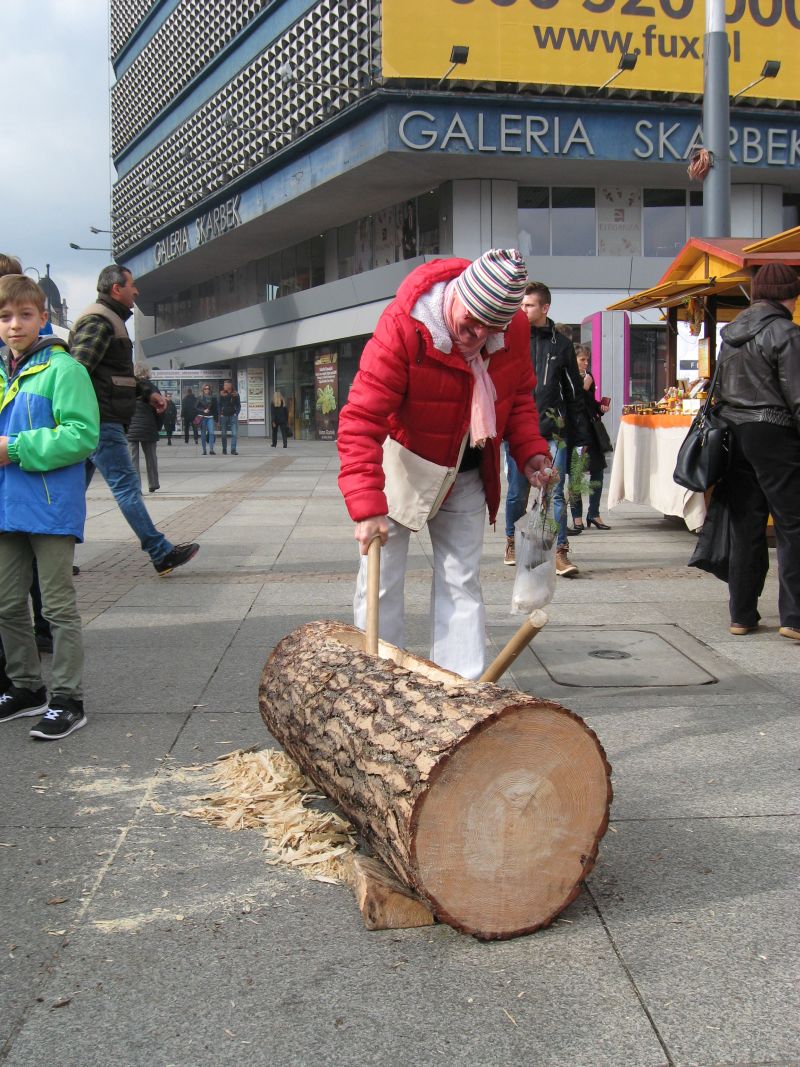 Uczestnik dziania barci podczas II Festiwalu Miodu w Katowicach. Autor zdjęcia: Kazimierz Wiśniowski