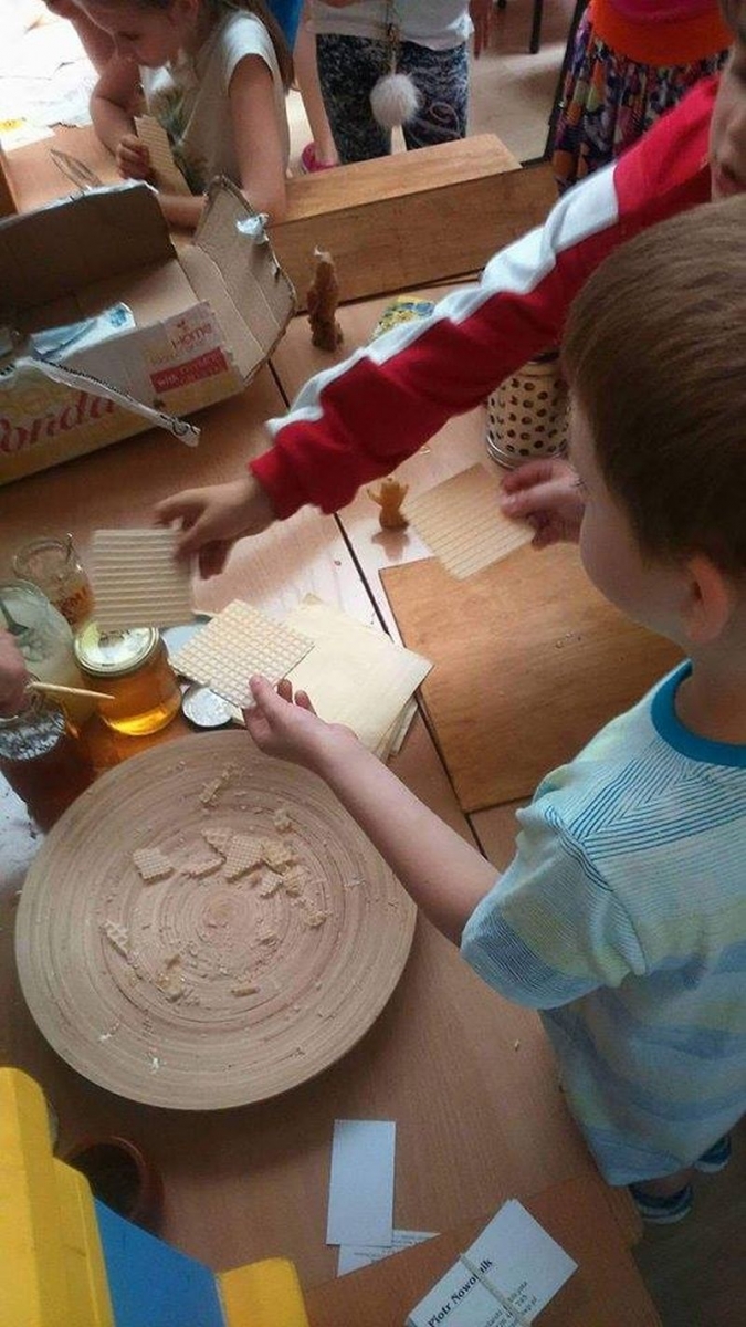 Wafelki z miodem - degustacja podczas warsztatów pszczelarskich. Autor zdjęcia: Piotr Nowotnik