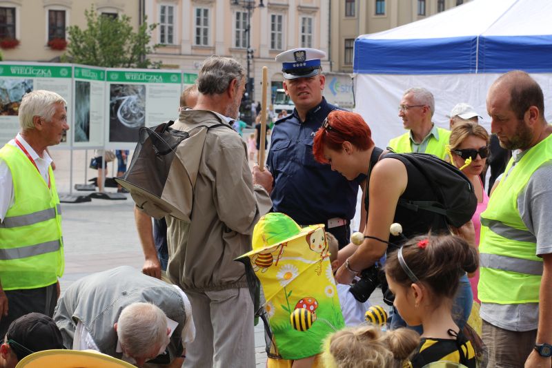 Nad bezpieczeństwem parady pszczół XXIII Krakowskiego Miodobrania czuwała krakowska policja. Autor zdjęcia: Paweł Balana