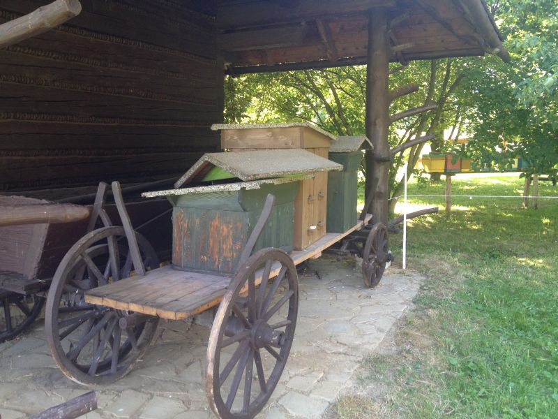 Ule na wozie drabiniastym.