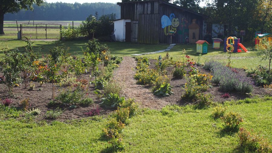 Szkolny Dzień Pszczoły - Piknik w ramach projektu Pszczoły W Szkole i akcji z Kujawskim pomagamy pszczołom.