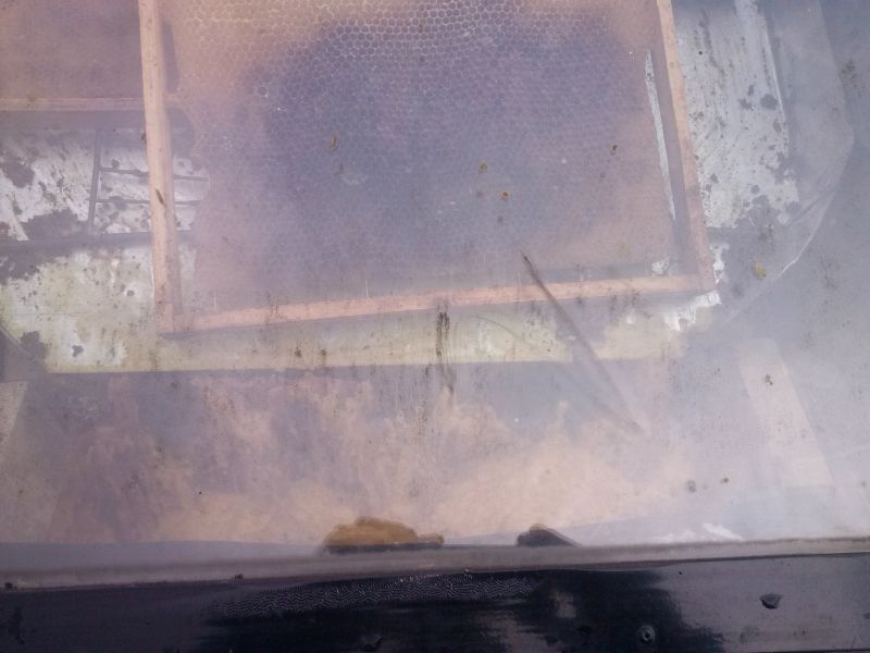 Samodzielnie wykonana topiarka do wosku. Widok zza szyby.