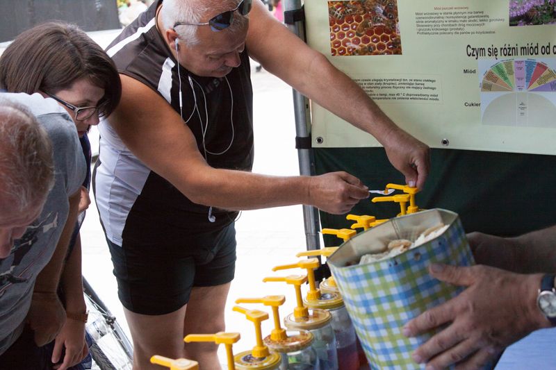 Miody uczestniczące w konkursie podczas VII Święta Miodu w Pszczynie. Autor zdjęcia: Kazimierz Wiśniowski