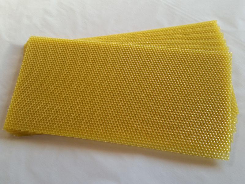 Plastry od polskiego producenta węzy - firmy Pszczeli Port