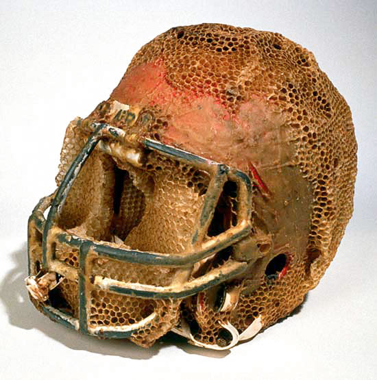 Kask do amerykańskiego footballu odmieniony przez pszczoły. Został zaprezentowany na wystawie pt. Sports Night in Canada. Autorka: Aganetha Dyck. Fotografia: Peter Dyck. Źródło: www.aganethadyck.ca Artystka udzieliła nam pisemnej zgody na publikację fotografii jej prac.