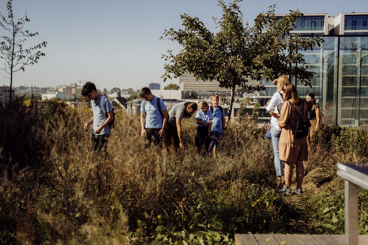 Relacja z wydarzenia pt. Festiwal Kultury Pszczelarskiej w Lublinie 2023