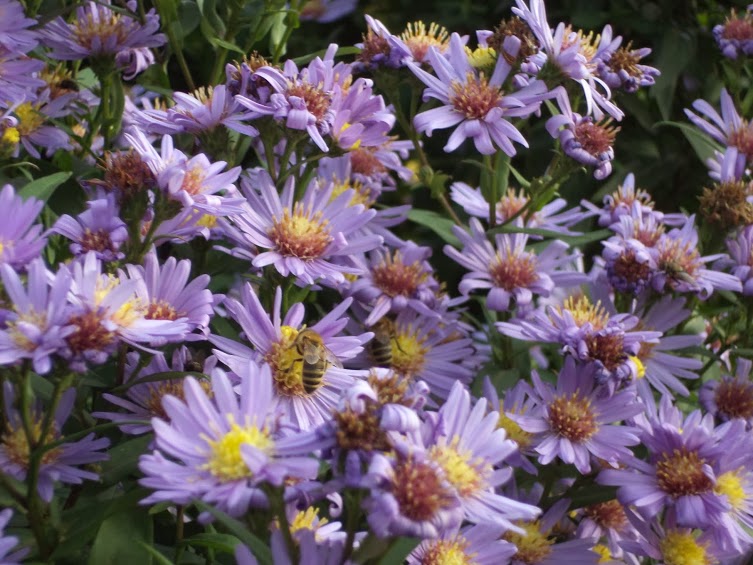 Autor zdjęcia: Łukasz Netczuk