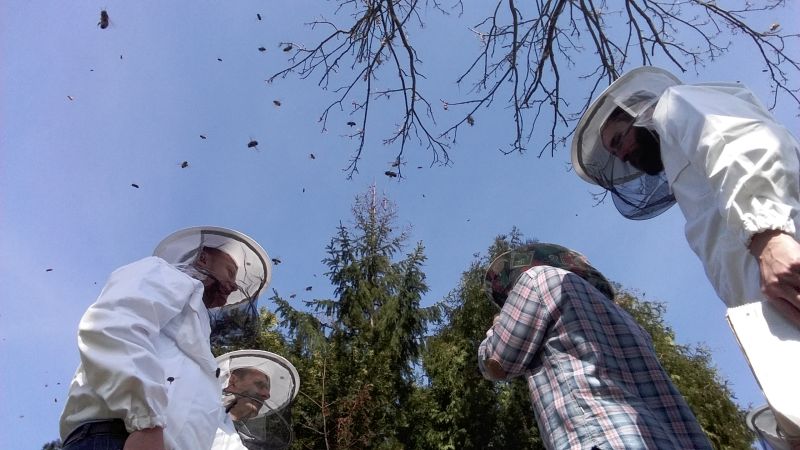 Warsztaty w ramach cyklu szkoleń Wilanów Miodem Płynący odbywają się z wykorzystaniem profesjonalnego sprzętu pszczelarskiego.