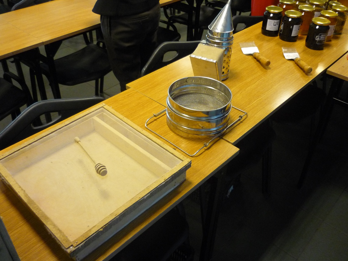 Prelekcja pana Adriana Suszki na temat pszczelarstwa i miodów w ramach projektu BeePower realizowanego przez organizację Enactus WSZiB.