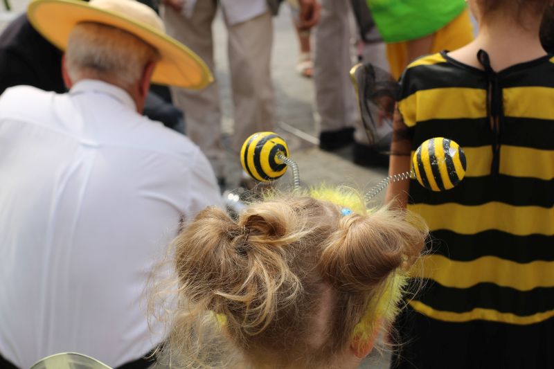 Czułki młodej pszczółki. XXIII Krakowskie Miodobranie. Autor zdjęcia: Paweł Balana