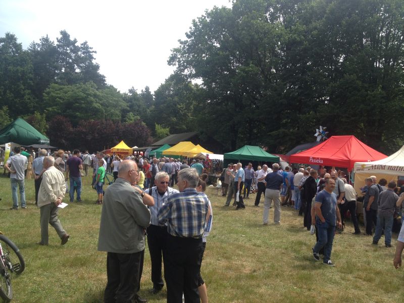 Plac z wystawcami XV Spotkania Pszczelarzy na Trutowisku w Murckach