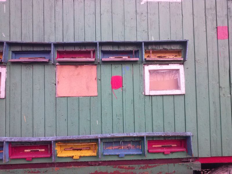 Pawilon pszczelarski pszczelarza z Olszanicy. Widok na wylotki.