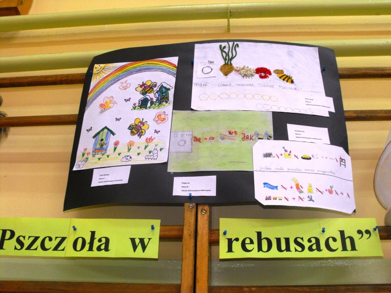 Ogłoszenie wyników czterech konkursów organizowanych w ramach projektu W szkole jak w ulu.
