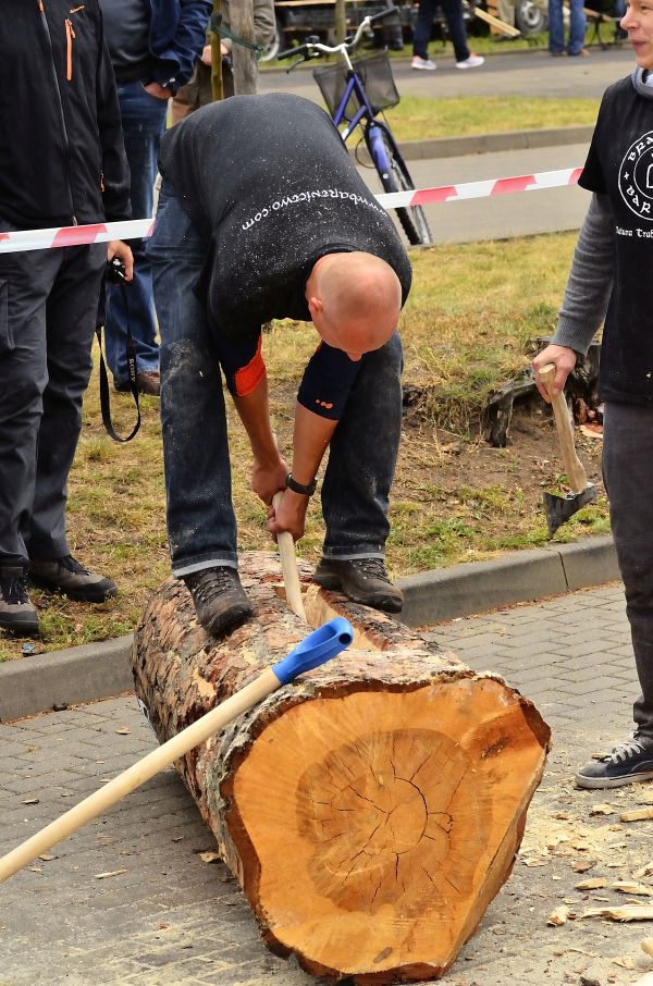 Barciowisko 2015. Autor zdjęć: Katarzyna Judycka (Pasieka u Alfreda).