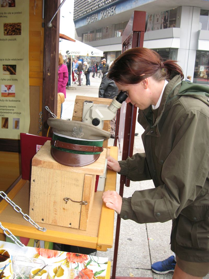 Pod mikroskopem widać więcej, o czym mogli przekonać się uczestnicy II Festiwalu Miodu w Katowicach. Autor zdjęcia: Kazimierz Wiśniowski