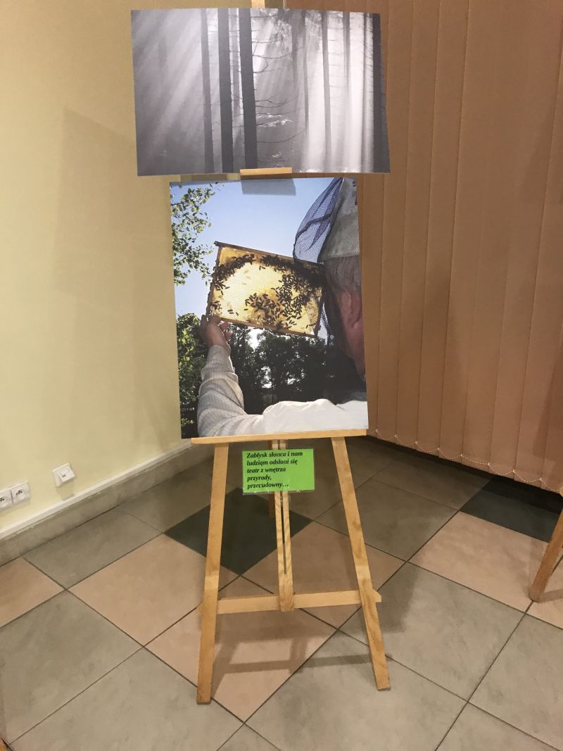 Zdjęcia Milana Motyki zaprezentowane 19 czerwca 2017 r. w Spale podczas Międzynarodowej Konferencji Bartniczej pn. Dekada Polskiego Bartnictwa. Autor zdjęć: Małgorzata Brendel