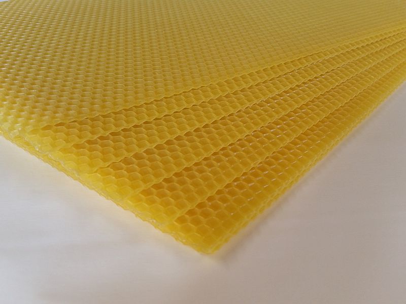 Węza od polskiego producenta węzy - firmy Pszczeli Port